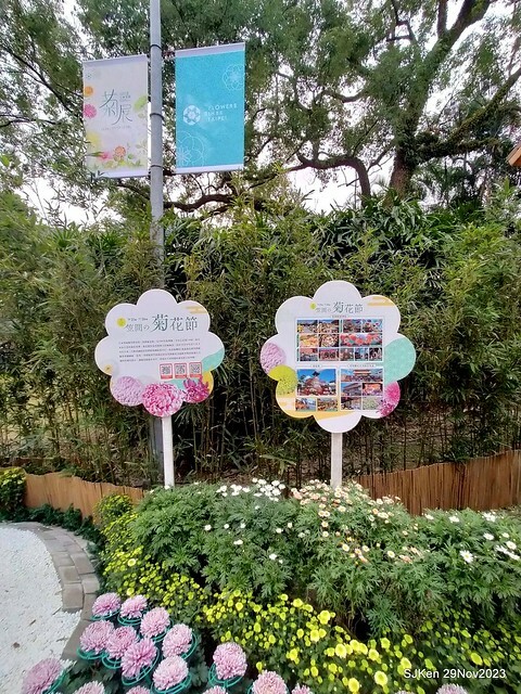 「2023士林官邸菊展 」(Shlin Residence Chryanthemum Festival ) series 7-2 , the exhibition is from Nov 24 to Dec 10, 2023 at Taipei, Taiwan.