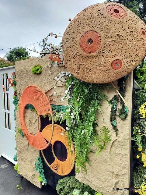 「2023士林官邸菊展 」(Shlin Residence Chryanthemum Festival ) series 7-2 , the exhibition is from Nov 24 to Dec 10, 2023 at Taipei, Taiwan.