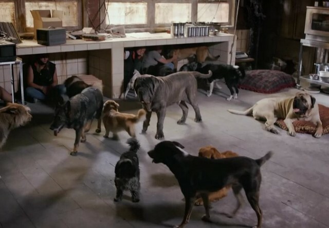 The Movie posters and stills of American Movie