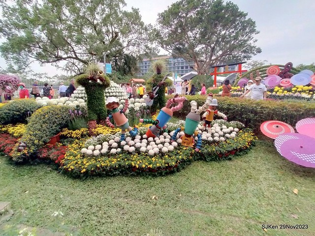 「2023士林官邸菊展 」(Shlin Residence Chryanthemum Festival ) series 7-2 , the exhibition is from Nov 24 to Dec 10, 2023 at Taipei, Taiwan.