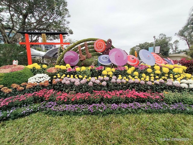 「2023士林官邸菊展 」(Shlin Residence Chryanthemum Festival ) series 7-2 , the exhibition is from Nov 24 to Dec 10, 2023 at Taipei, Taiwan.