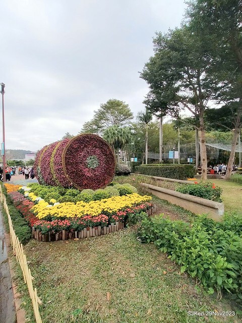 「2023士林官邸菊展 」(Shlin Residence Chryanthemum Festival ) series 7-1 , the exhibition is from Nov 24 to Dec 10, 2023 at Taipei, Taiwan.