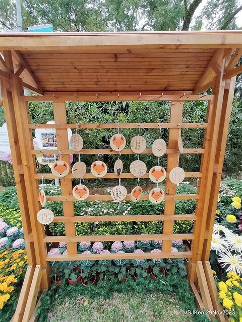 「2023士林官邸菊展 」(Shlin Residence Chryanthemum Festival ) series 7-2 , the exhibition is from Nov 24 to Dec 10, 2023 at Taipei, Taiwan.