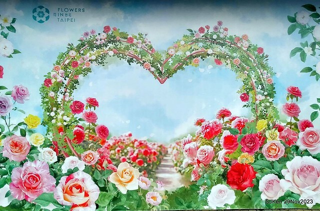 「2023士林官邸菊展 」(Shlin Residence Chryanthemum Festival ) series 7-2 , the exhibition is from Nov 24 to Dec 10, 2023 at Taipei, Taiwan.