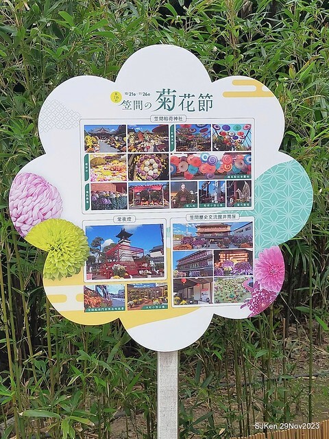 「2023士林官邸菊展 」(Shlin Residence Chryanthemum Festival ) series 7-2 , the exhibition is from Nov 24 to Dec 10, 2023 at Taipei, Taiwan.