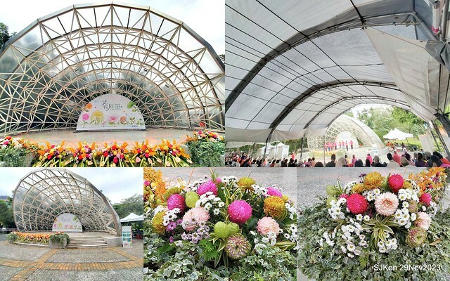 「2023士林官邸菊展 」(Shlin Residence Chryanthemum Festival ) series 7-2 , the exhibition is from Nov 24 to Dec 10, 2023 at Taipei, Taiwan.