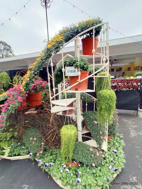 「2023士林官邸菊展 」(Shlin Residence Chryanthemum Festival ) series 7-2 , the exhibition is from Nov 24 to Dec 10, 2023 at Taipei, Taiwan.