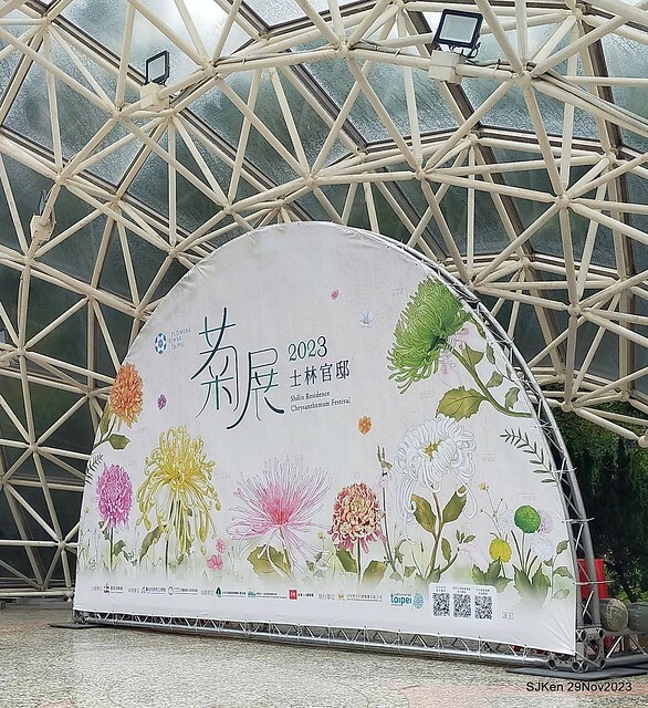 「2023士林官邸菊展 」(Shlin Residence Chryanthemum Festival ) series 7-2 , the exhibition is from Nov 24 to Dec 10, 2023 at Taipei, Taiwan.