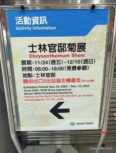 「2023士林官邸菊展 」(Shlin Residence Chryanthemum Festival ) series 7-1 , the exhibition is from Nov 24 to Dec 10, 2023 at Taipei, Taiwan.