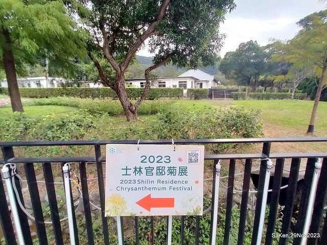 「2023士林官邸菊展 」(Shlin Residence Chryanthemum Festival ) series 7-1 , the exhibition is from Nov 24 to Dec 10, 2023 at Taipei, Taiwan.