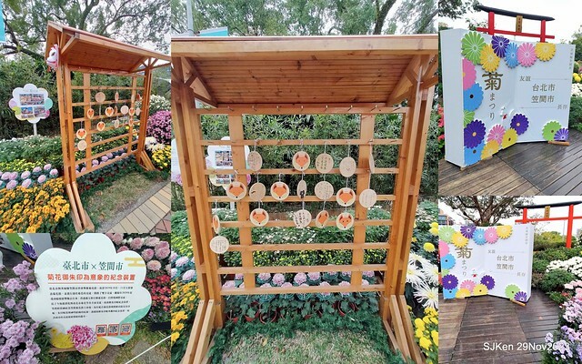 「2023士林官邸菊展 」(Shlin Residence Chryanthemum Festival ) series 7-2 , the exhibition is from Nov 24 to Dec 10, 2023 at Taipei, Taiwan.