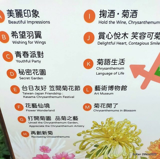 「2023士林官邸菊展 」(Shlin Residence Chryanthemum Festival ) series 7-1 , the exhibition is from Nov 24 to Dec 10, 2023 at Taipei, Taiwan.