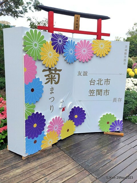 「2023士林官邸菊展 」(Shlin Residence Chryanthemum Festival ) series 7-2 , the exhibition is from Nov 24 to Dec 10, 2023 at Taipei, Taiwan.