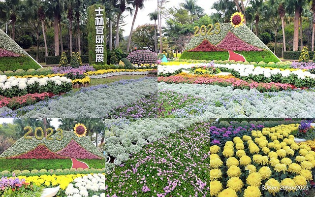 「2023士林官邸菊展 」(Shlin Residence Chryanthemum Festival ) series 7-1 , the exhibition is from Nov 24 to Dec 10, 2023 at Taipei, Taiwan.