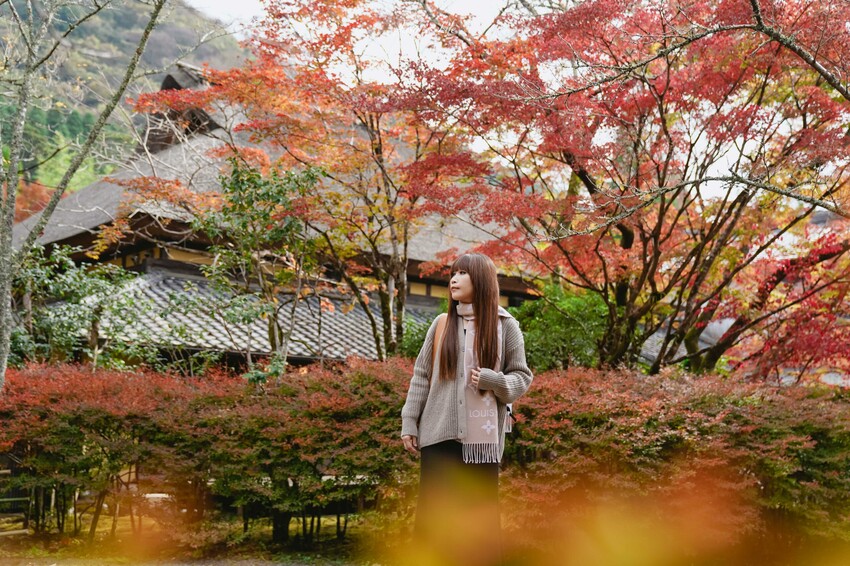 【九州大分│景點】金麟湖Cafe La Ruche湖畔咖啡廳。首次來九州必訪景點，湖面飄著水氣，宛如仙境