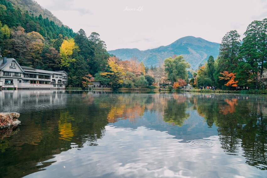 【九州大分│景點】金麟湖Cafe La Ruche湖畔咖啡廳。首次來九州必訪景點，湖面飄著水氣，宛如仙境