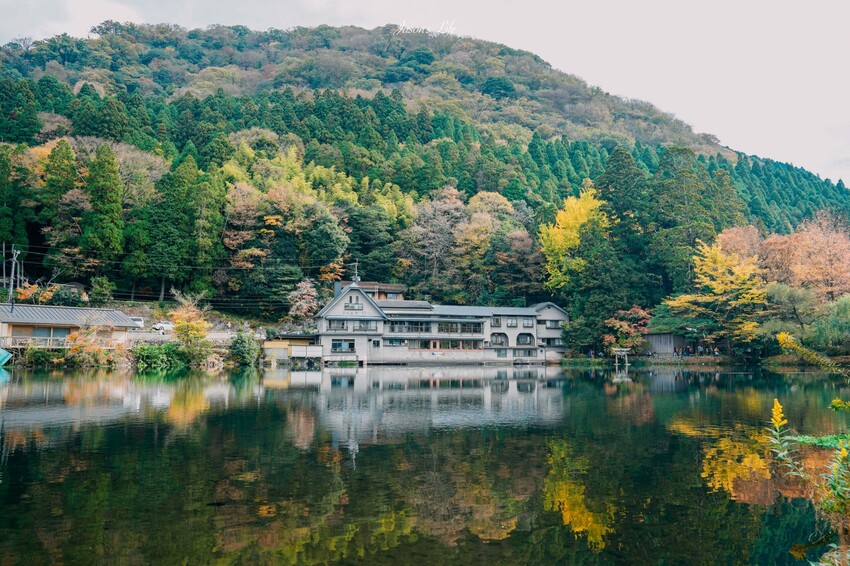 【九州大分│景點】金麟湖Cafe La Ruche湖畔咖啡廳。首次來九州必訪景點，湖面飄著水氣，宛如仙境