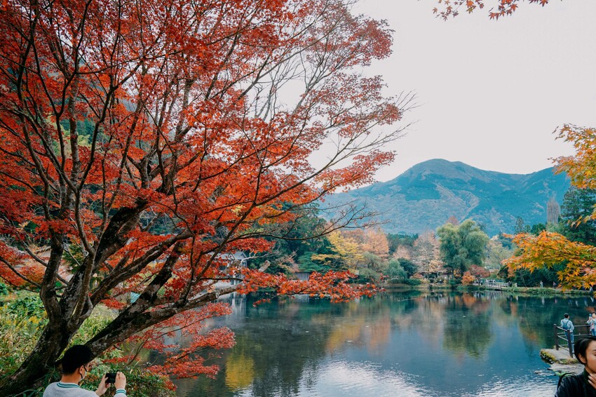 【九州大分│景點】金麟湖Cafe La Ruche湖畔咖啡廳。首次來九州必訪景點，湖面飄著水氣，宛如仙境