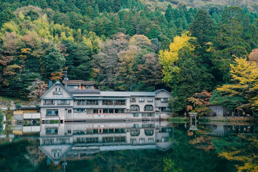 【九州大分│景點】金麟湖Cafe La Ruche湖畔咖啡廳。首次來九州必訪景點，湖面飄著水氣，宛如仙境