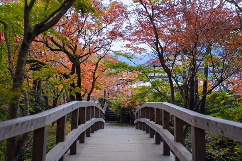 【九州大分│景點】金麟湖Cafe La Ruche湖畔咖啡廳。首次來九州必訪景點，湖面飄著水氣，宛如仙境