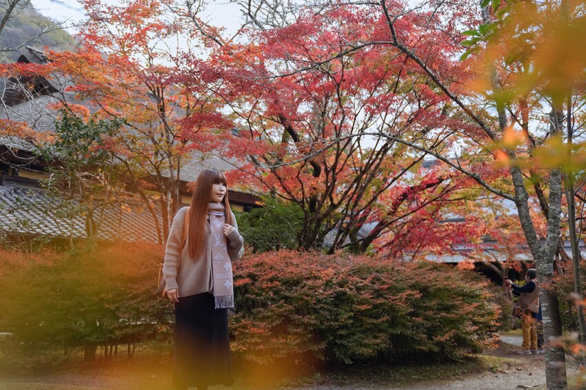 【九州大分│景點】金麟湖Cafe La Ruche湖畔咖啡廳。首次來九州必訪景點，湖面飄著水氣，宛如仙境