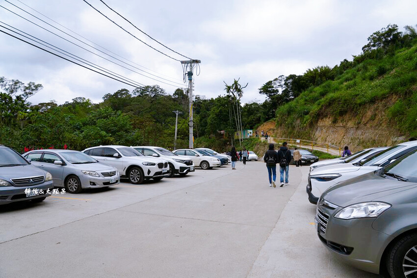 三灣落羽松秘境 ❙ 2023落羽松最新現況,最美冬季調色盤,