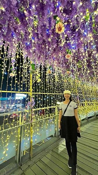 大IMG_6456 (1).jpeg