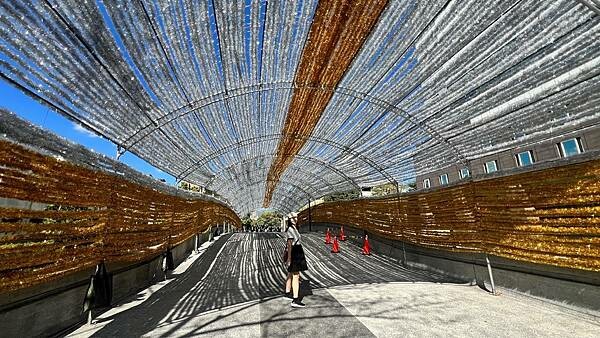 大IMG_6195 (1).jpeg