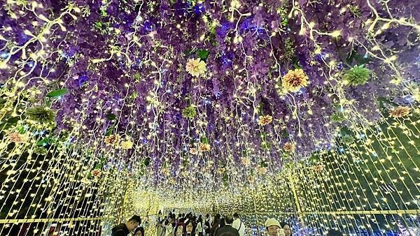 大IMG_6439 (1).jpeg