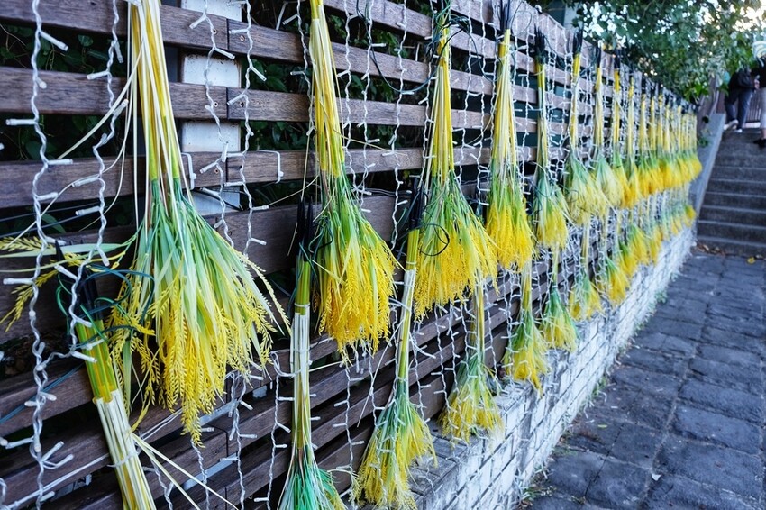 屏東車城鄉|四重溪溫泉村散策 溫泉老街著名美食 潘氏農場 鹹鴨蛋DIY體驗 親子體驗好推薦|西莉亞玩樂人生 屏東車城鄉|潘氏農場 四重溪溫泉老街著名美食 鹹鴨蛋DIY體