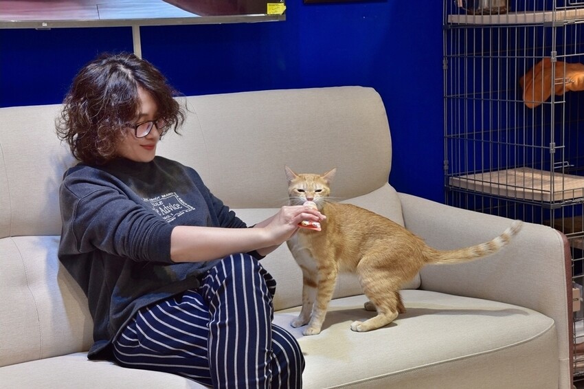 億家具批發倉庫 新竹店