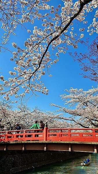 2023日本賞櫻自由行~岐阜縣大垣城、水門川