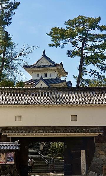 2023日本賞櫻自由行~岐阜縣大垣城、水門川