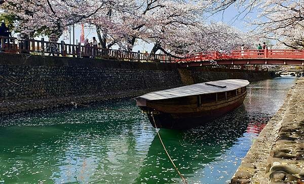2023日本賞櫻自由行~岐阜縣大垣城、水門川