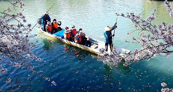 2023日本賞櫻自由行~岐阜縣大垣城、水門川