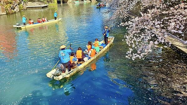 2023日本賞櫻自由行~岐阜縣大垣城、水門川