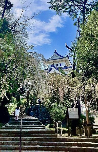 2023日本賞櫻自由行~岐阜縣大垣城、水門川