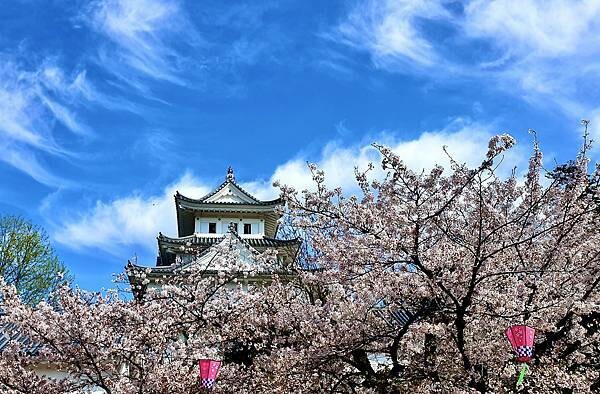 2023日本賞櫻自由行~岐阜縣大垣城、水門川