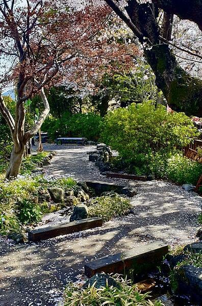 2023日本賞櫻自由行~岐阜縣大垣城、水門川