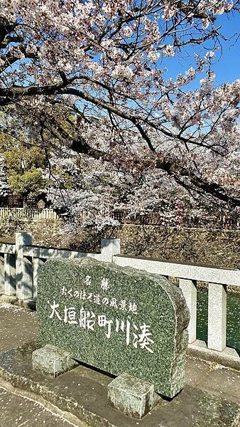 2023日本賞櫻自由行~岐阜縣大垣城、水門川