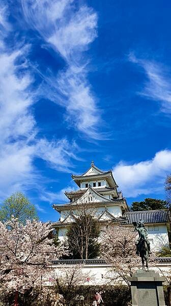 2023日本賞櫻自由行~岐阜縣大垣城、水門川