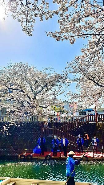 2023日本賞櫻自由行~岐阜縣大垣城、水門川