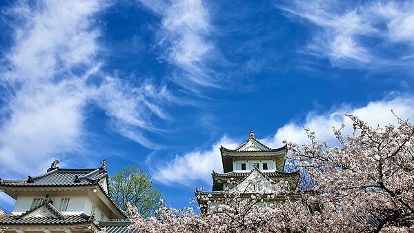 2023日本賞櫻自由行~岐阜縣大垣城、水門川