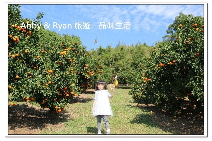 newIMG_6655.jpg