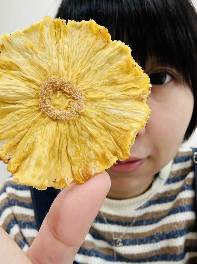 【SANSUI山水】15L旋風溫控智能氣炸烤箱SAF-588