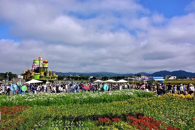 2023臺中國際花毯節 2023臺中國際花毯節