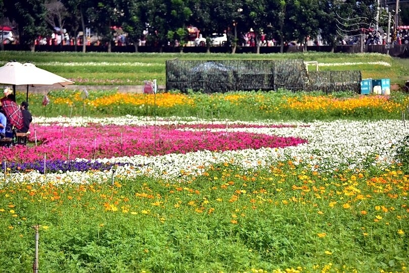 2023臺中國際花毯節 2023臺中國際花毯節