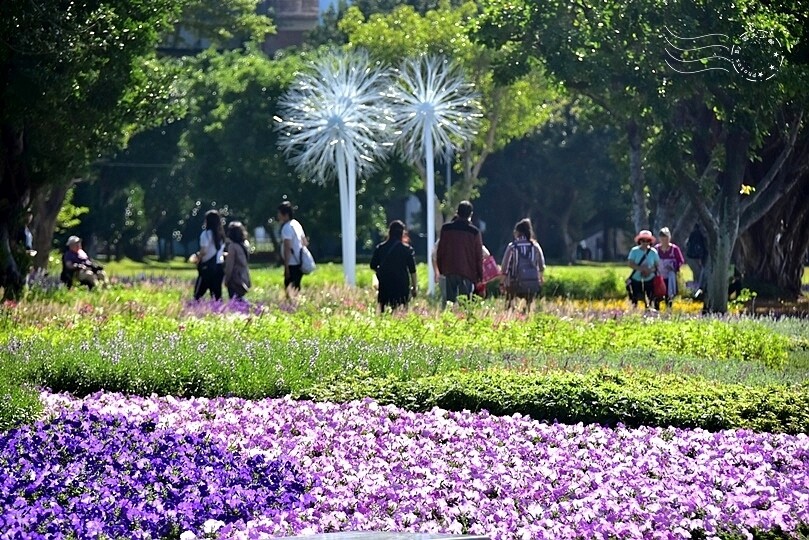 2023延平河濱公園花海