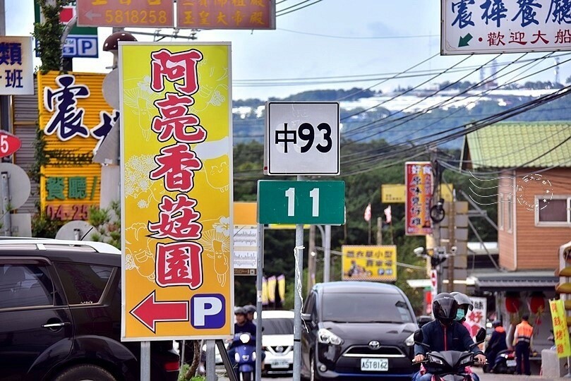 新社阿亮香菇園 新社阿亮香菇園