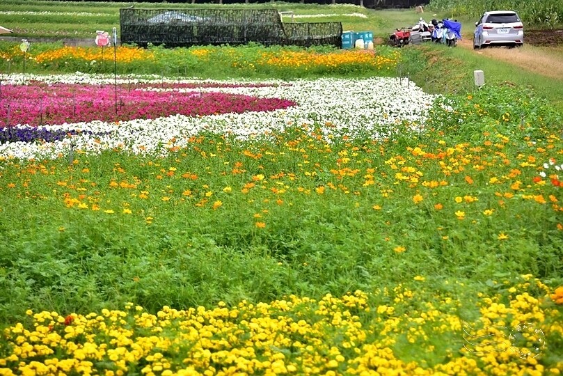 2023臺中國際花毯節美食區 2023臺中國際花毯節美食區